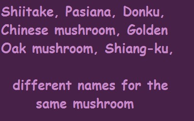 Different names for the shiitake mushroom