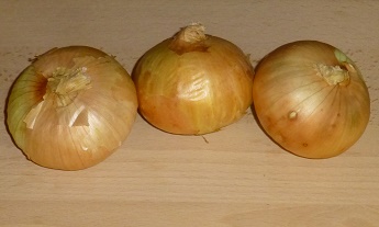 Yellow  onion